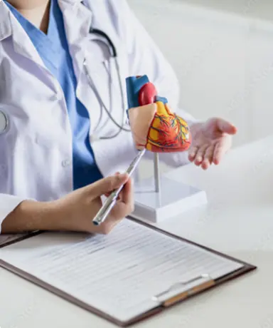 Ultraschall mit Belastungs-EKG